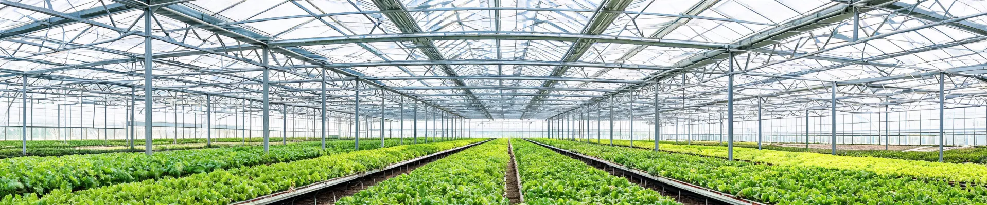 Greenhouse structure procurement reference