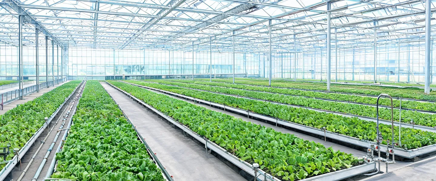 Greenhouse crop zones and access routes
